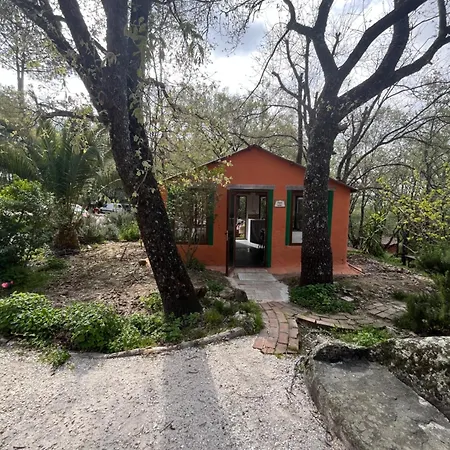Hostel El Cielo De La Vera